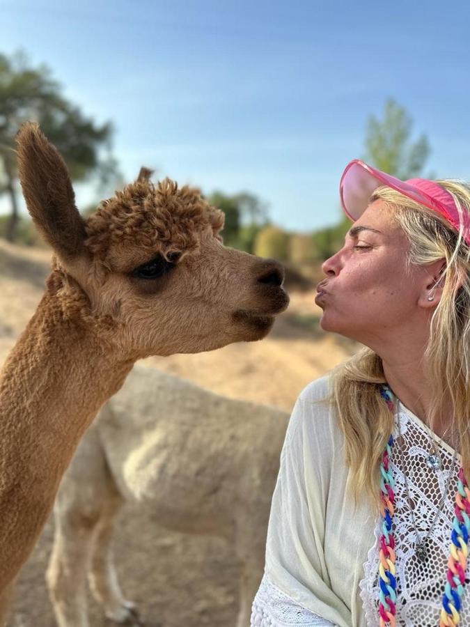 Alpaca Farm And B&B - Mama Adama Grândola Buitenkant foto